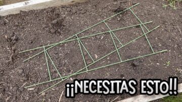 Privado: [ID: QPlZKo4ZRrs] Youtube Automatic