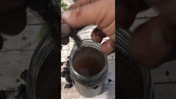 Privado: [ID: InCnVS6H63k] Youtube Automatic