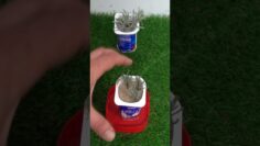 Privado: [ID: Lw5x-v7Sp20] Youtube Automatic