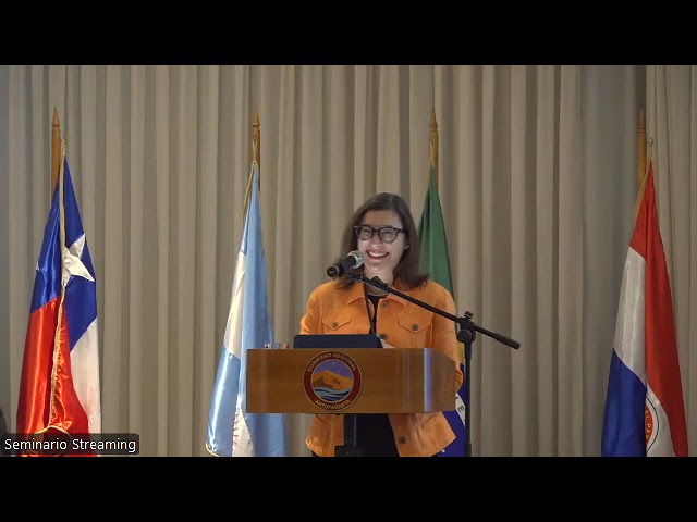 Precargar imagen