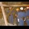 [ID: UJ29dQDdoOM] Youtube Automatic