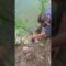 [ID: 3pUlq3Y2O6A] Youtube Automatic
