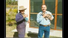 [ID: 86jGgShSt04] Youtube Automatic