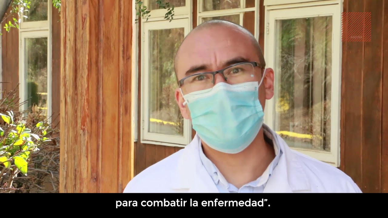 Precargar imagen