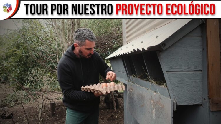 [ID: _7s_dg1rNRw] Youtube Automatic