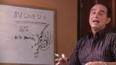 [ID: Bo0wWhhh-04] Youtube Automatic