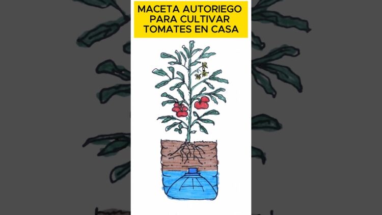 [ID: cOr9ZKXZd2M] Youtube Automatic