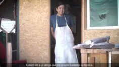 [ID: csx0GmTJWG8] Youtube Automatic