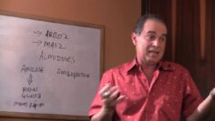 [ID: ebzKELWW3Mo] Youtube Automatic