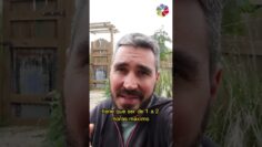 [ID: fD9VTZeQIqE] Youtube Automatic