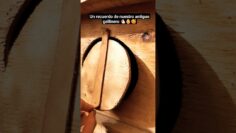 [ID: g5T-N5e0hHQ] Youtube Automatic