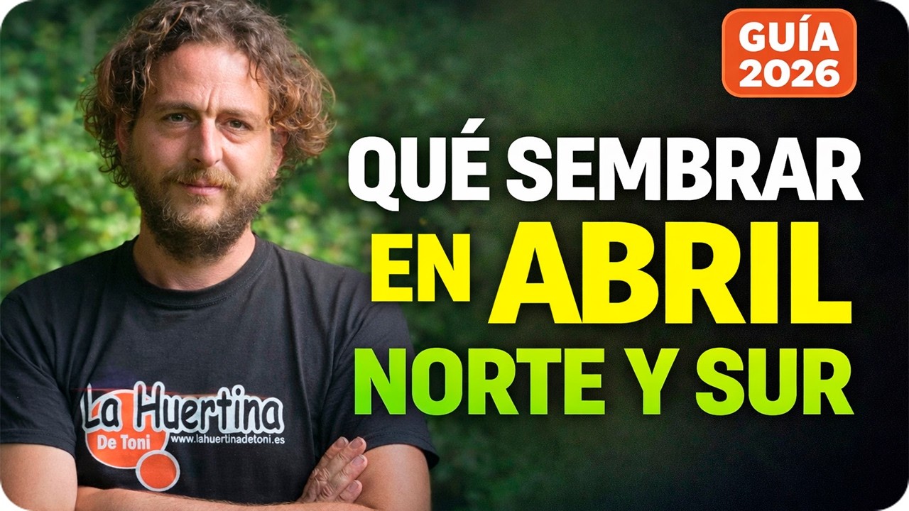 Precargar imagen