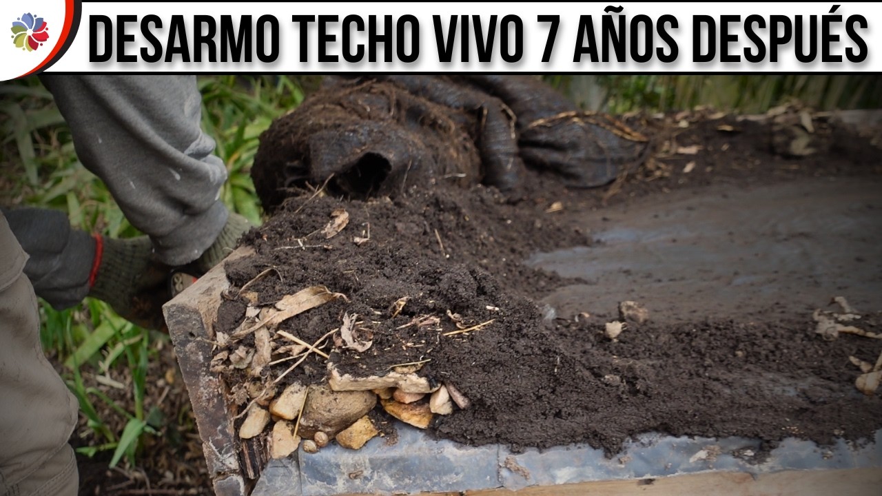 Precargar imagen