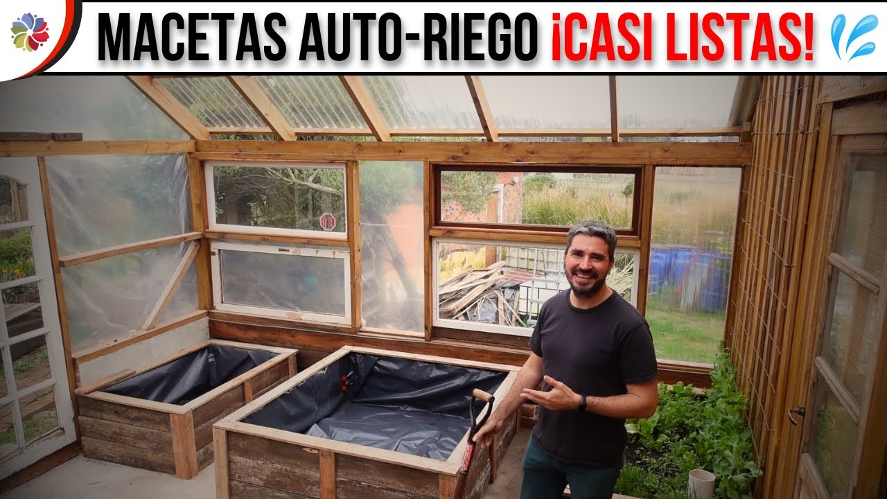 Precargar imagen